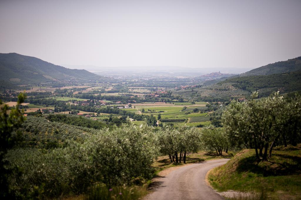 Borgo Al Teto La Vite Apartment Castiglion Fiorentino Bagian luar foto
