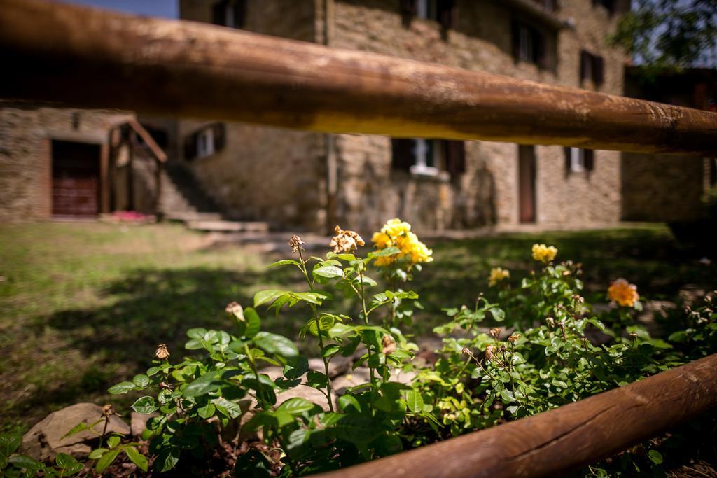 Borgo Al Teto La Vite Apartment Castiglion Fiorentino Bagian luar foto