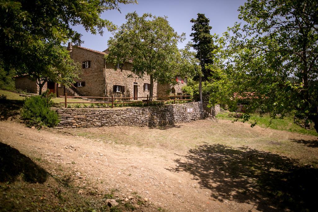 Borgo Al Teto La Vite Apartment Castiglion Fiorentino Bagian luar foto