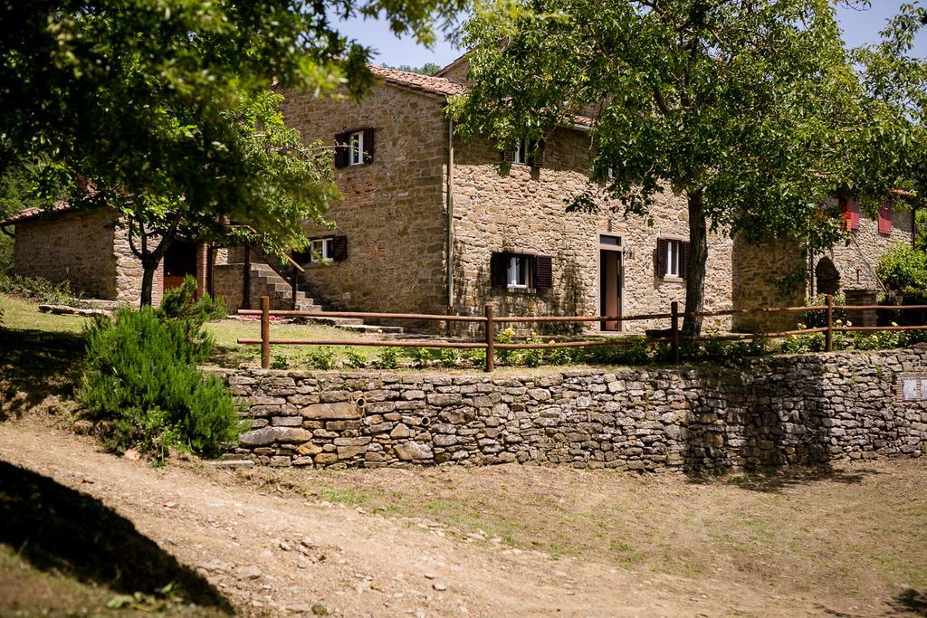 Borgo Al Teto La Vite Apartment Castiglion Fiorentino Bagian luar foto