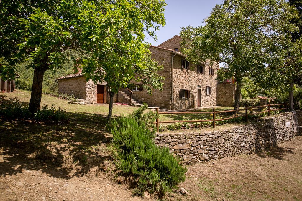 Borgo Al Teto La Vite Apartment Castiglion Fiorentino Bagian luar foto