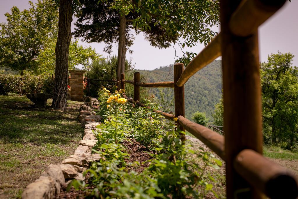Borgo Al Teto La Vite Apartment Castiglion Fiorentino Bagian luar foto