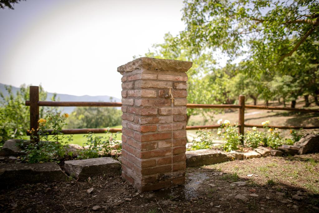Borgo Al Teto La Vite Apartment Castiglion Fiorentino Bagian luar foto